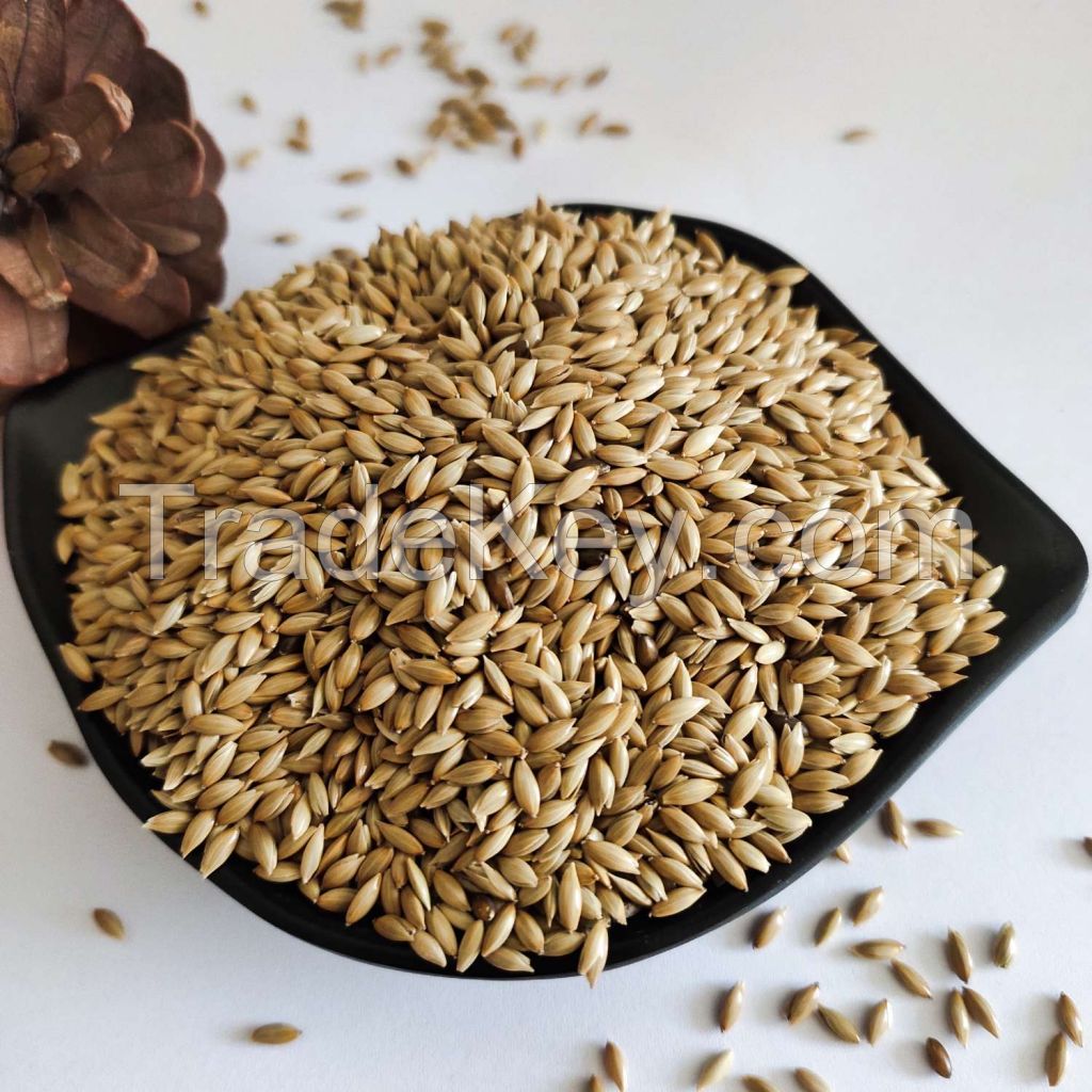 Canary Seed for sale