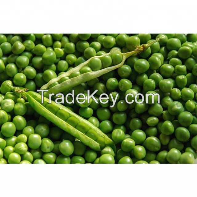 Wholesale Green Peas / Fresh Frozen Green Peas / Wholesale Fresh Peas