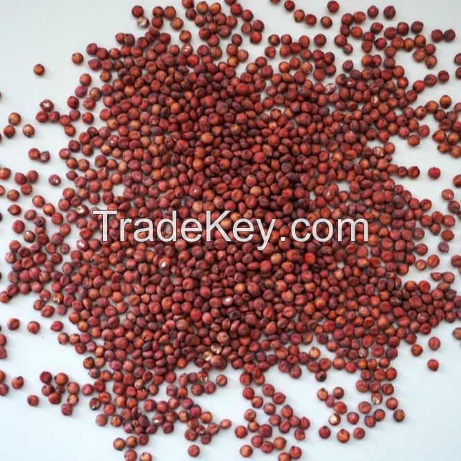 Whole Red Sorghum for sale