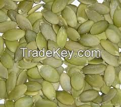 Chinese shelled Pumpkin seeds from Inner Mongolia