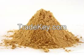 Ginger Root Extract 5%Gingerol