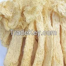 Dried Bamboo Fungus