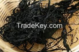 High Quality Dried Gracilaria Seaweed