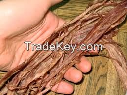 Dried Deer Tendon