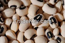 Black Eyed Peas, Cow Peas, Soya Beans, Red Kidney Beans, Adzuki Beans