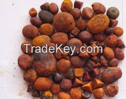 Ox Gallstones  Cattle Gallstones  Cow Gallstones