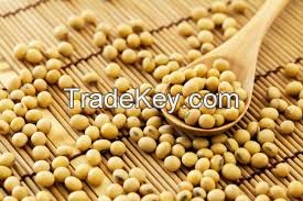 Soybean Meal