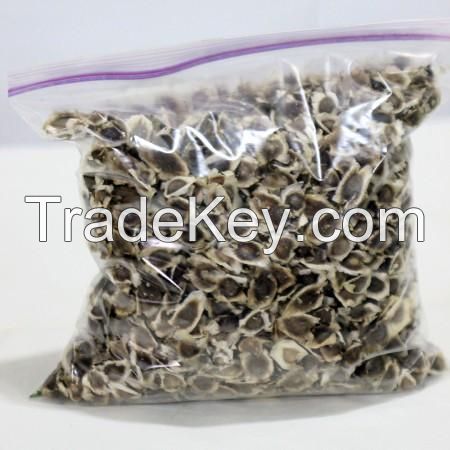 Best quality MORINGA SEED at most competitive price