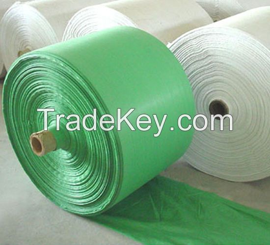 Supply PP WOVEN ROLL as your request