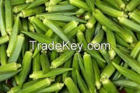 Wholesale Grade A Fresh Okra