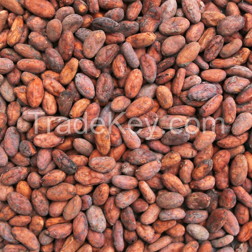 Cocoa Beans, Arabica Coffee Beans, Robusta Coffee beans and other Beans.