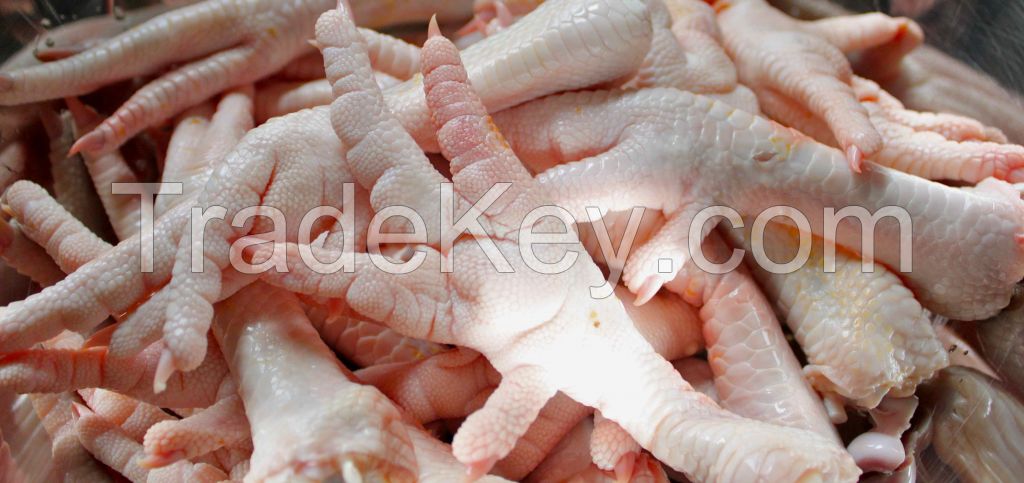 Clean Fresh Frozen Chicken Feet and Chicken Paws