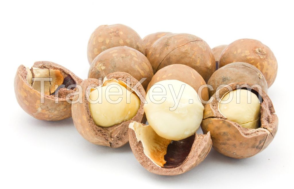 macadamia nuts