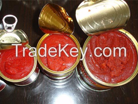 canned tomato paste