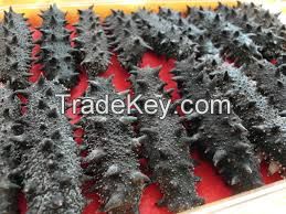 Dried sea cucumber