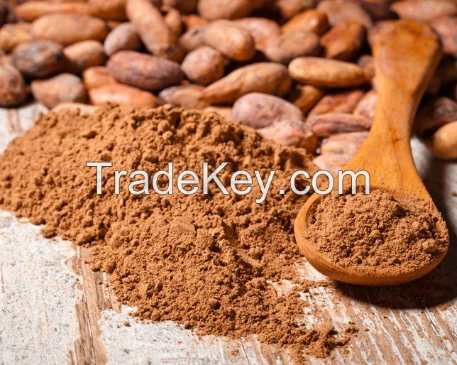 cocoa powder