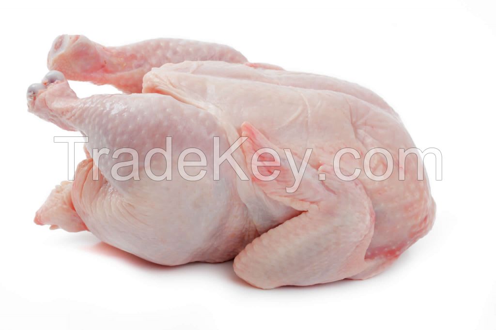 Halal frozen chicken
