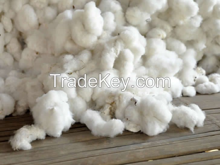 Raw cotton