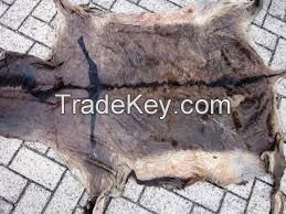 Wet/Dry Salted Donkey Hides +254799391658