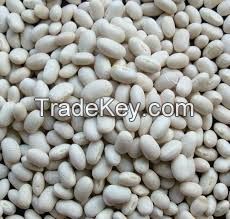 High quality White Kidney Beans  for sale