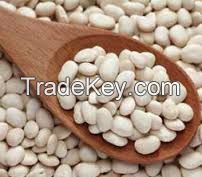 Medium bulk white kidney bean Kenyan type best quality