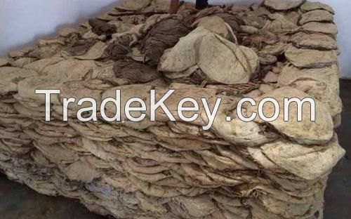 Salted and Unsalted Beef Omasum for sale and export