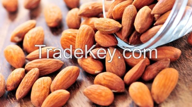 Raw Almonds Nuts, delicious and healthy Raw Almonds Nuts Almond/Apricot Kernel