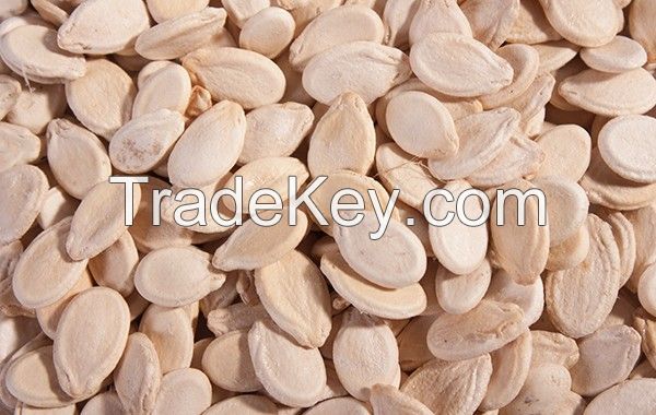Melon Seeds/ Black Melon Seeds/ Water Melon Seeds for sale and export