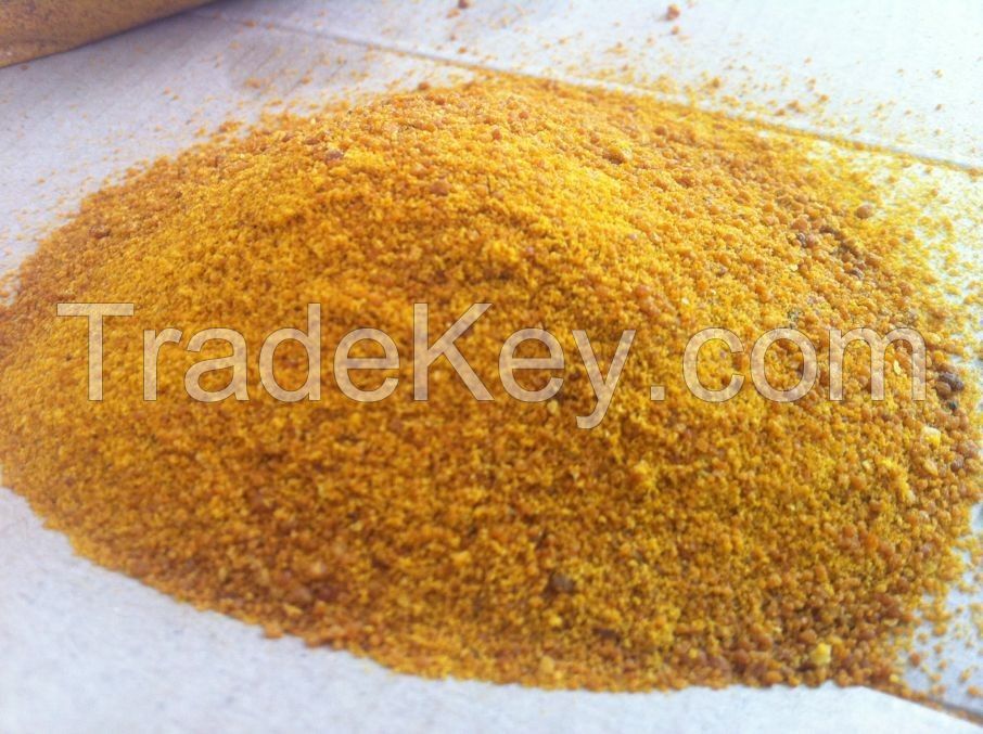 Non-Gmo Corn Protein meal Zein Powder for Animal Feed for export