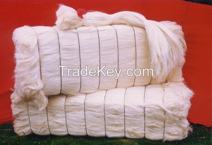 Natural Raw Sisal Fiber At A Competitive Price for export