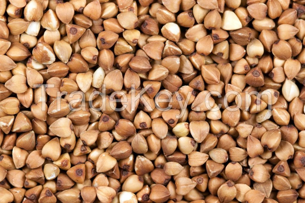 buckwheat