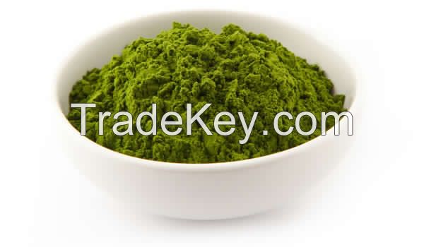 Barley Green Powder