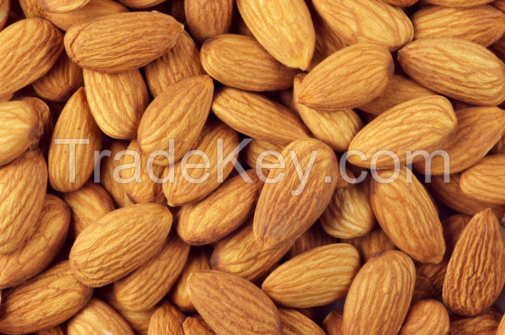 Almonds nuts