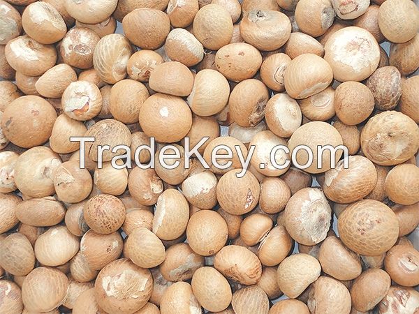 Betel Nuts for sale