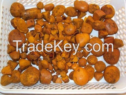 Ox Gallstone for sale