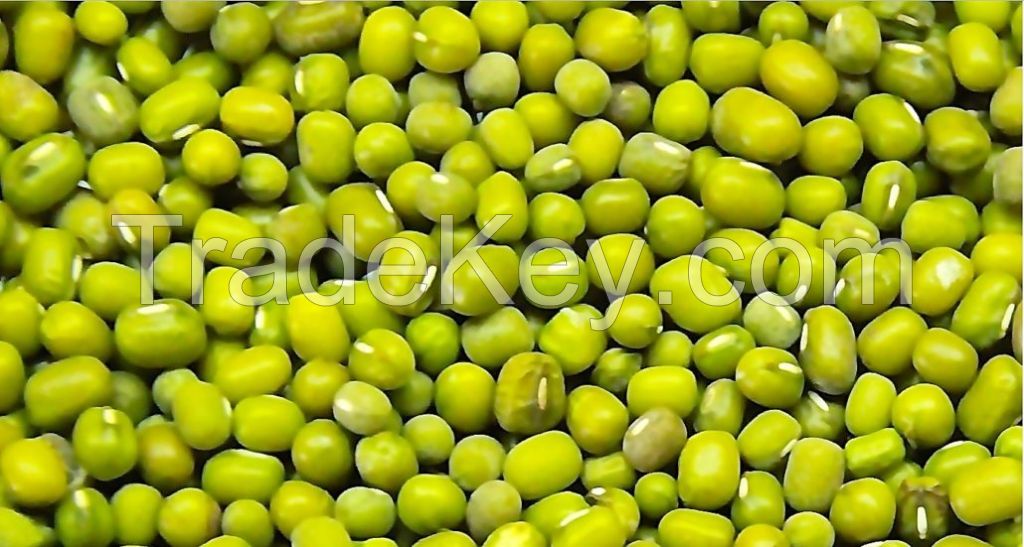 Green Mung Beans