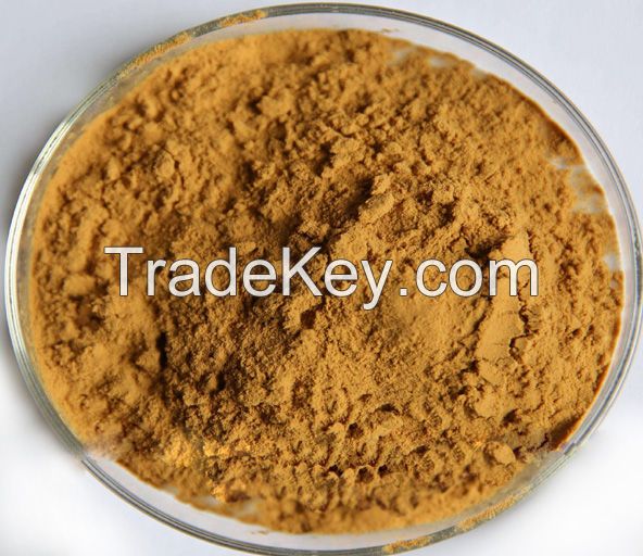 grifola frondosa extract