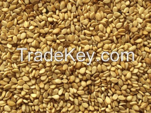 Turkish Golden sesame Seeds