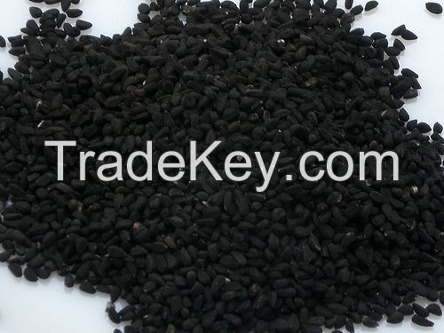 Bombay Red Onion Seeds