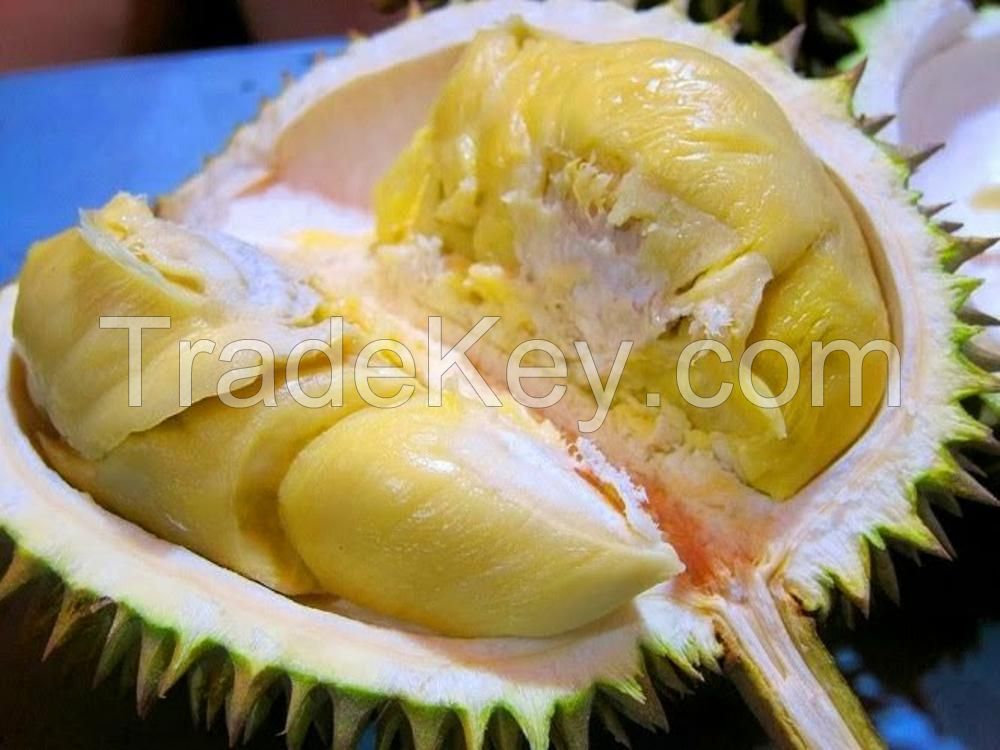 fresh durians
