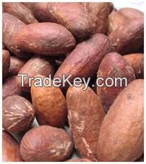 Buy garcinia kola