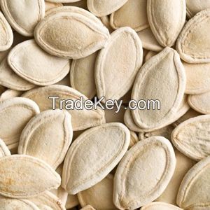 Pumpkin seeds