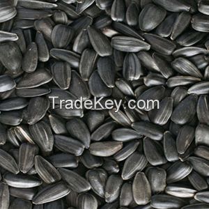 Sunflower seeds (Oil)