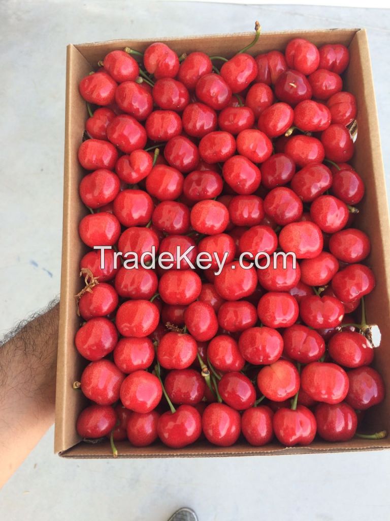 Fresh cherry season started