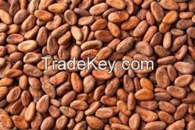 Cocoa Beans