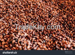 ROASTED ROBUSTA COFFEE BEANS