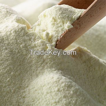 Wholesale Whey Protein Powder