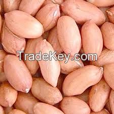 2016 new edible dried Peanut Kernels