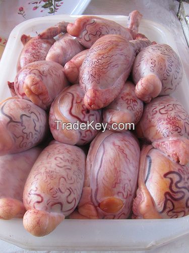 Beef testicles