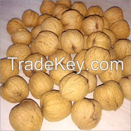 Walnuts in Shell Halves